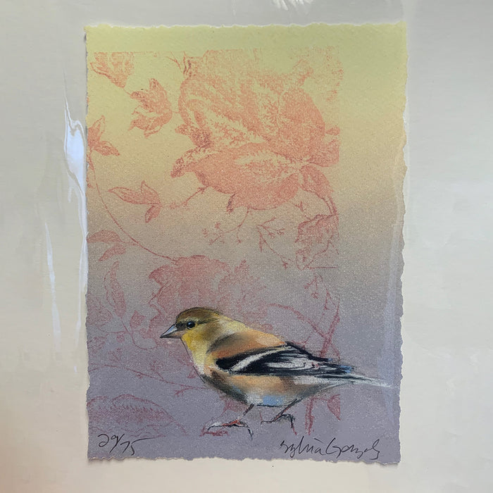 Art: Print Sylvia Gonzalez Goldfinch on Chintz
