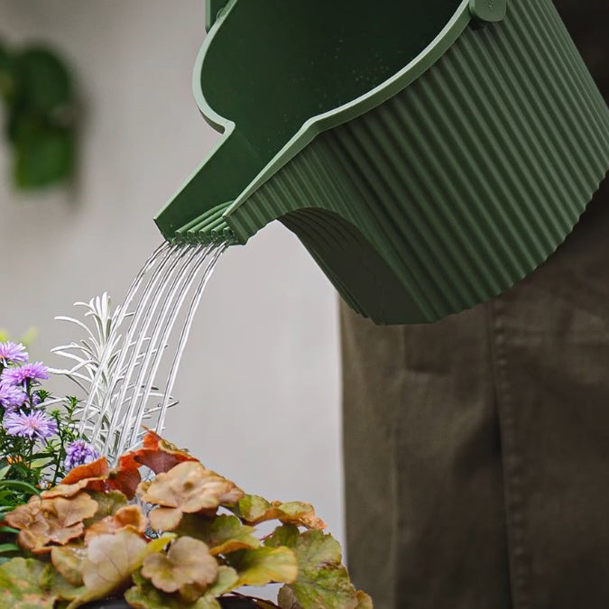 Garden: Polypropylene Garden Watering Can