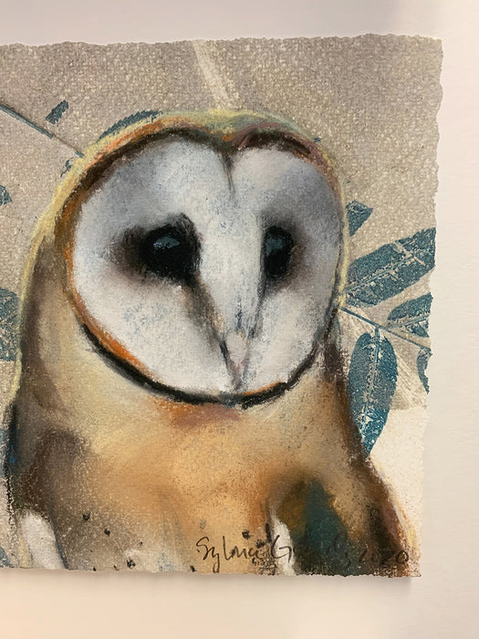 Art: Print Sylvia Gonzalez Barn Owl on Walnut Leaves
