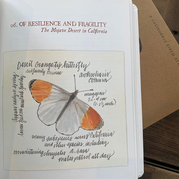 Library: The Deserts of California