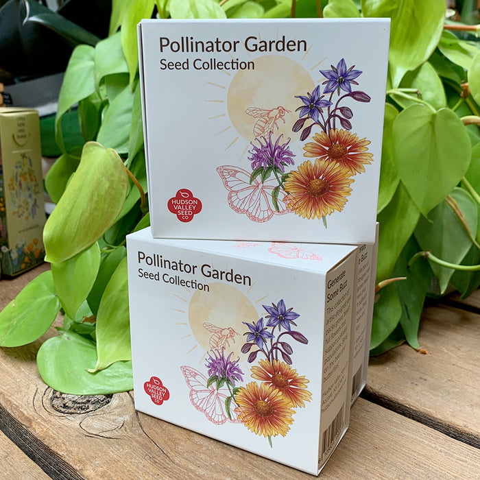 Garden: Bee Friendly Seed Mix