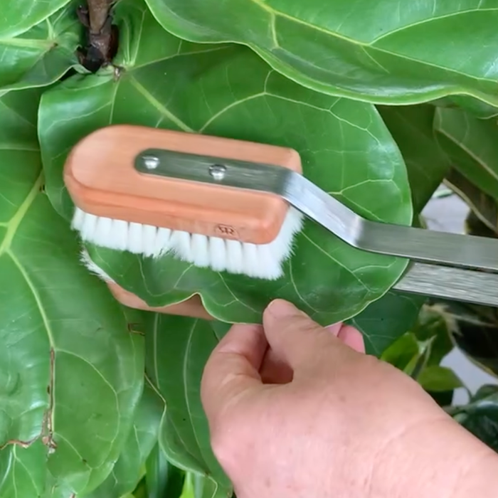 Home: Soft Goat Hair Leaf Brush