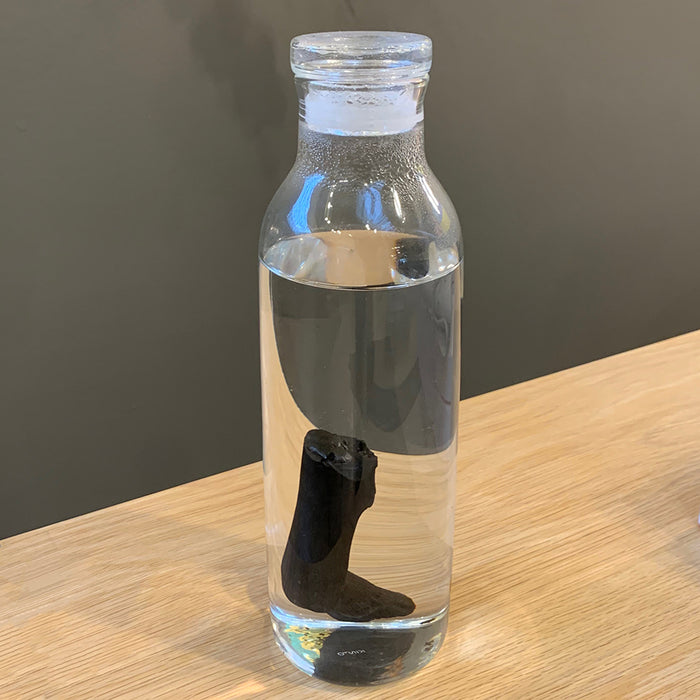 Home: Simple and Elegant Glass Carafe