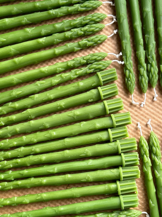 Asparagus Beeswax Taper Candles | Pair