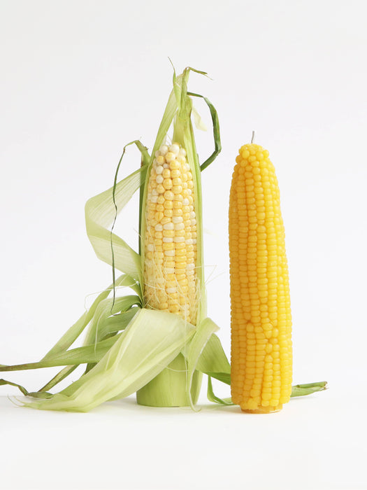 Candles shaped like two ears of fresh yellow corn on a white background, one still wrapped in pale green husks and one fully exposed.