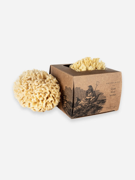 Two natural sea sponge bath brushes in a brown kraft paper box with an illustration of a fisherman, on a light gray background.