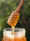 A wooden honey dipper dripping golden honey into a clear glass jar, with a soft blurred green outdoor background.