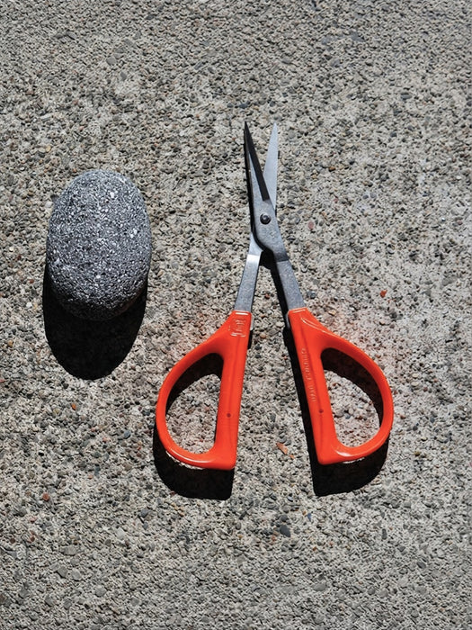 A pair of orange-handled carbon steel pruning scissors with a rock-like object beside them for scale.