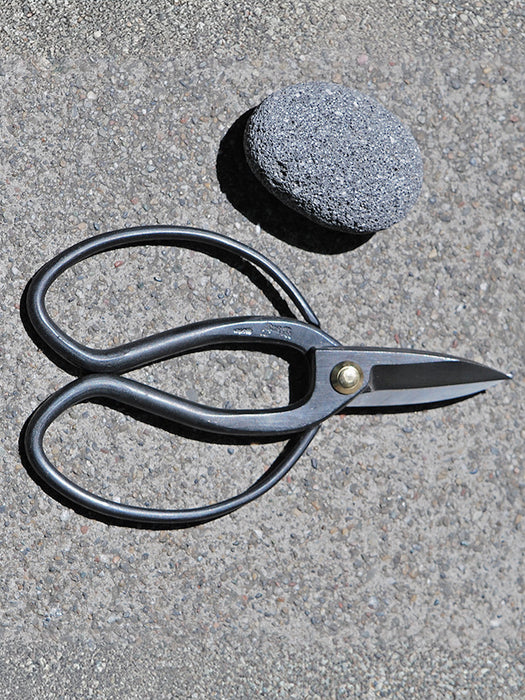 Black metal pruning shears with a brass pivot screw, placed on a textured gray concrete surface next to a gray stone.