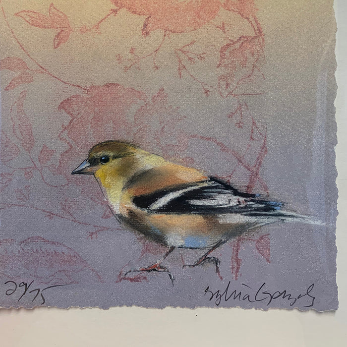Art: Print Sylvia Gonzalez Goldfinch on Chintz