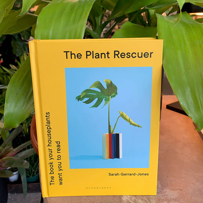 Houseplants: The Plant Rescuer
