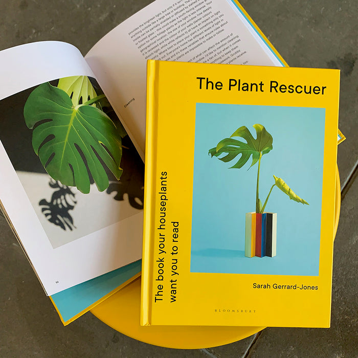 Houseplants: The Plant Rescuer