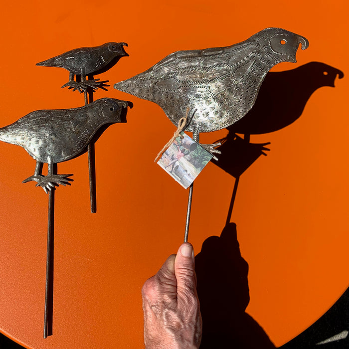 Garden: Steel Covey of Quail