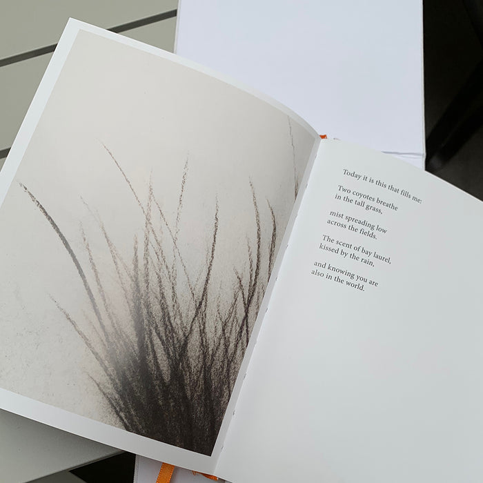 Gift: The Book of Thanks-A Catalog of Gratitudes