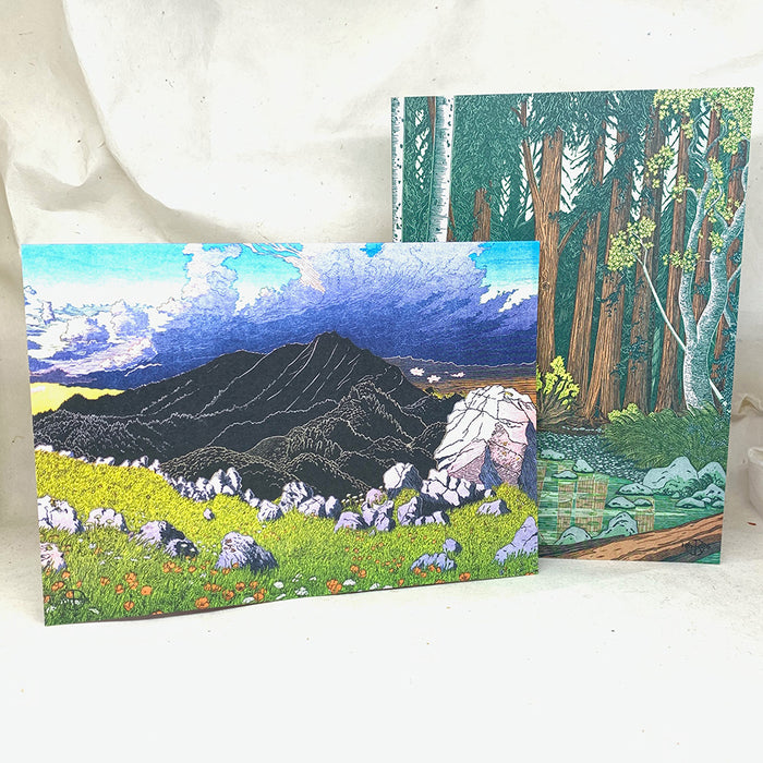 Office: Tom Killion Muir Woods and Mt. Tam Note Card Set