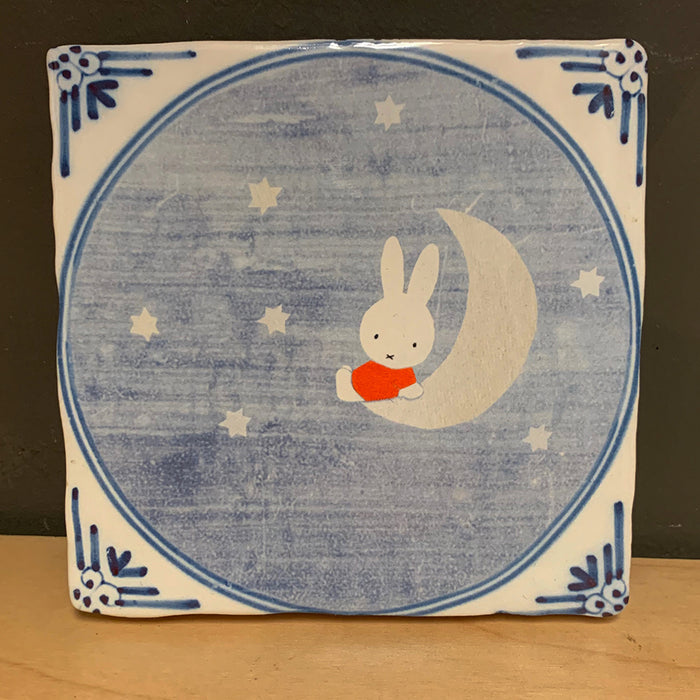 Home: "Miffy on the Moon" Story Tile