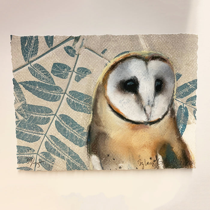 Art: Print Sylvia Gonzalez Barn Owl on Walnut Leaves