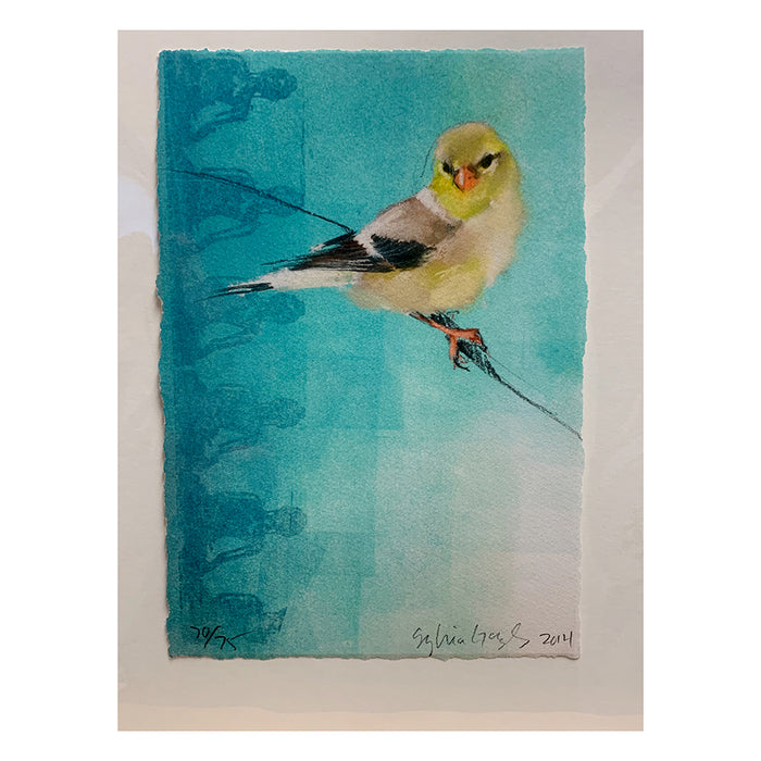 Art: Print Sylvia Gonzalez Goldfinch on Buddhas