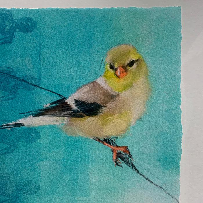 Art: Print Sylvia Gonzalez Goldfinch on Buddhas