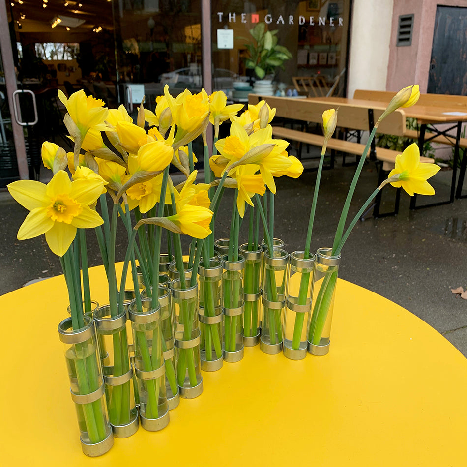Home: April Vase – The Gardener Store
