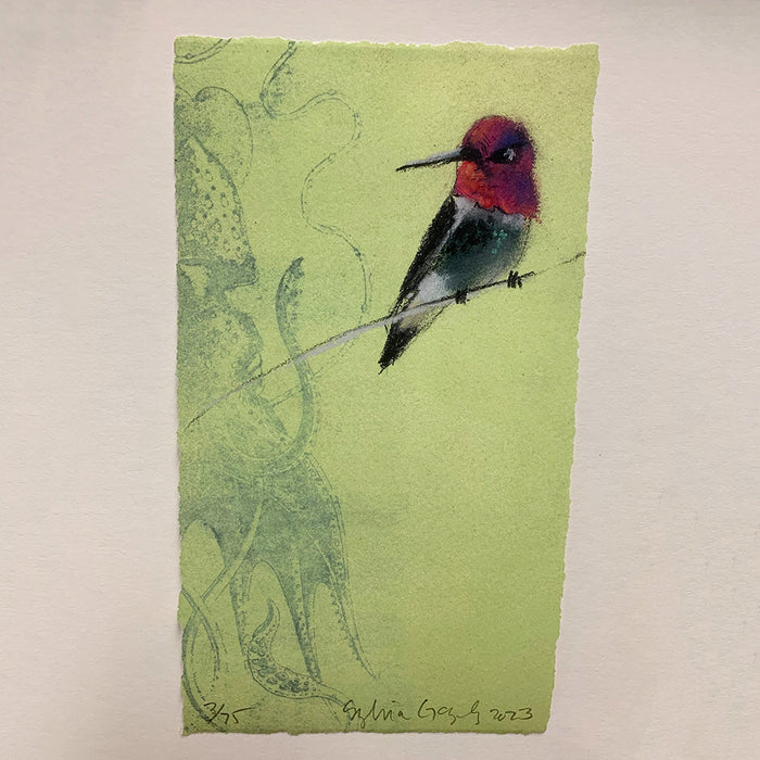 Art: Print Sylvia Gonzalez Hummingbird with Squid
