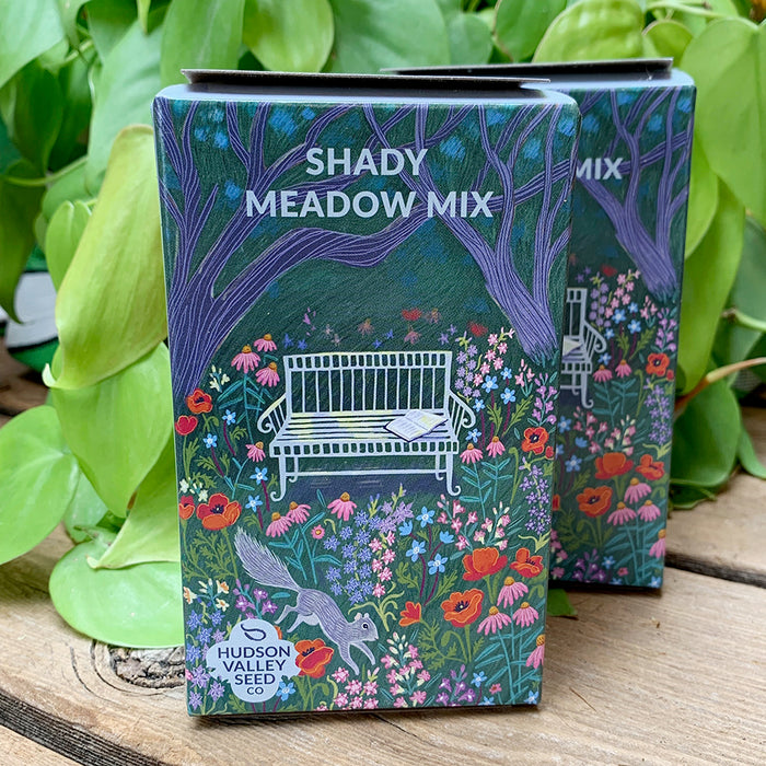 Garden: Shady Meadow Seed Mix