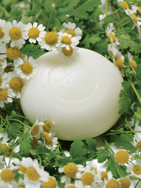 A round white bar of soap with an embossed logo, nestled among white chamomile flowers and green leaves.