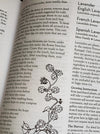 An open book showing printed text and a botanical line drawing of lavender plants on the left page, with headings for lavender varieties on the right page.