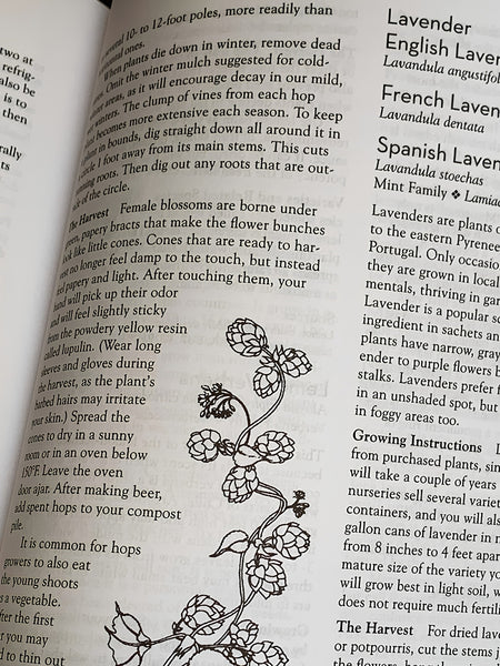 An open book showing printed text and a botanical line drawing of lavender plants on the left page, with headings for lavender varieties on the right page.