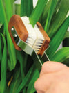 A close-up of a hand holding a small hand brush with white bristles, a brown wooden handle, and a silver metal guard, brushing against green plant leaves.