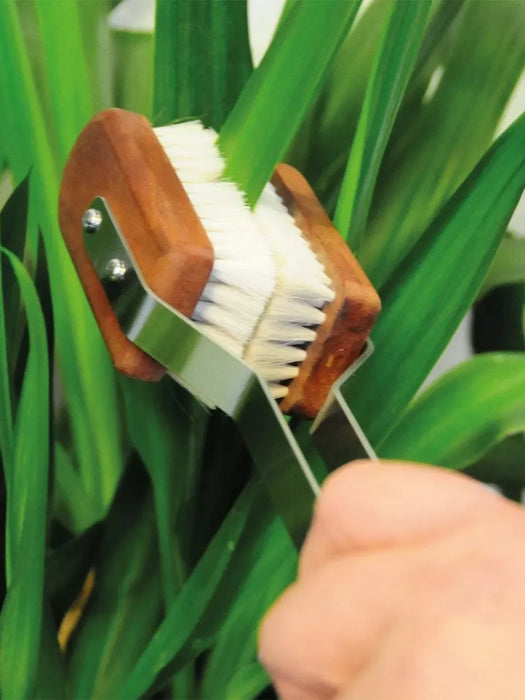 A close-up of a hand holding a small hand brush with white bristles, a brown wooden handle, and a silver metal guard, brushing against green plant leaves.