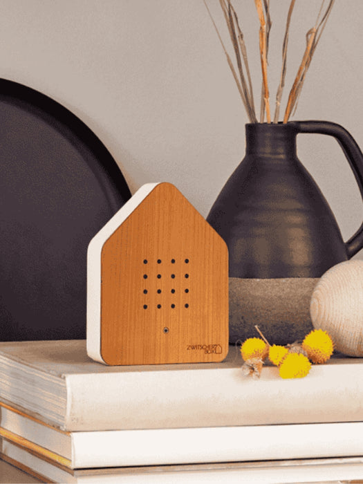 A house-shaped wooden speaker with a white side panel sits on stacked books in a styled interior setting, with a dark vase and dried stems in the background.