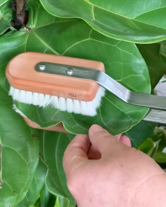 Soft Goat Hair Leaf Brush