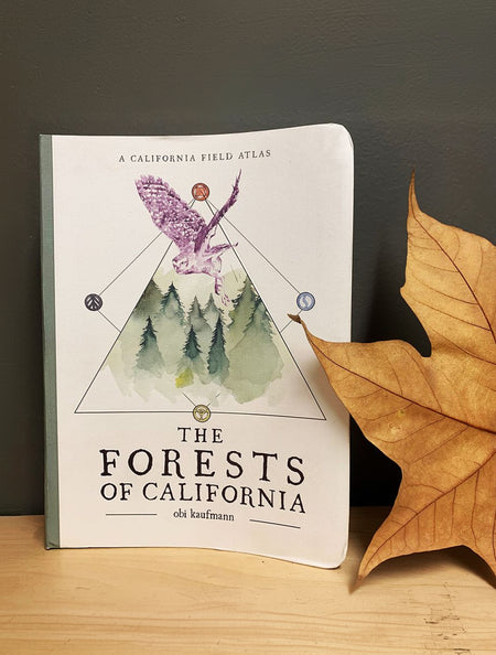 A hardcover book titled "The Forests of California" by Ola Kaufmann, standing upright on a light wood surface against a dark gray wall. The cover is white with a watercolor illustration of a purple bird over green forest trees inside a triangle, and a large dried brown leaf rests on the right side of the book.