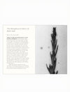 A book page featuring a large white title block on the left with the text 'The Metaphysical Basis of Wabi-Sabi' and several paragraphs of body text, paired with a black-and-white abstract photographic panel on the right.