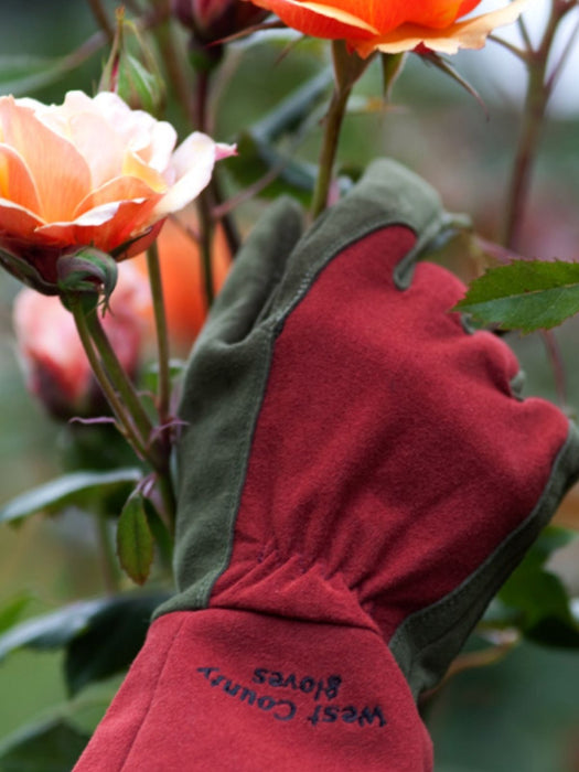 A close-up of a gardening glove with red and green panels being worn by a gardener, with orange roses in the background. The cuff of the glove is embroidered with the text 'WEST COUNTRY GLOVES'.