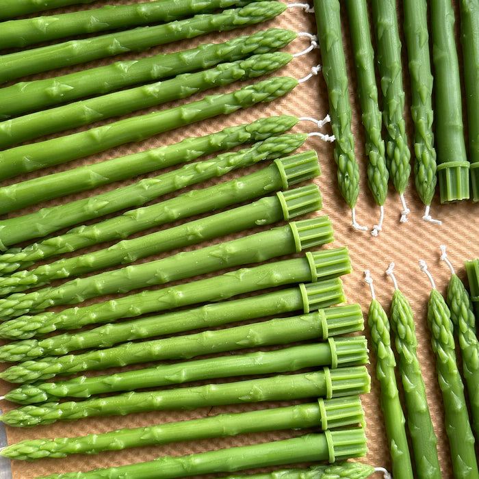 Asparagus Beeswax Taper Candles