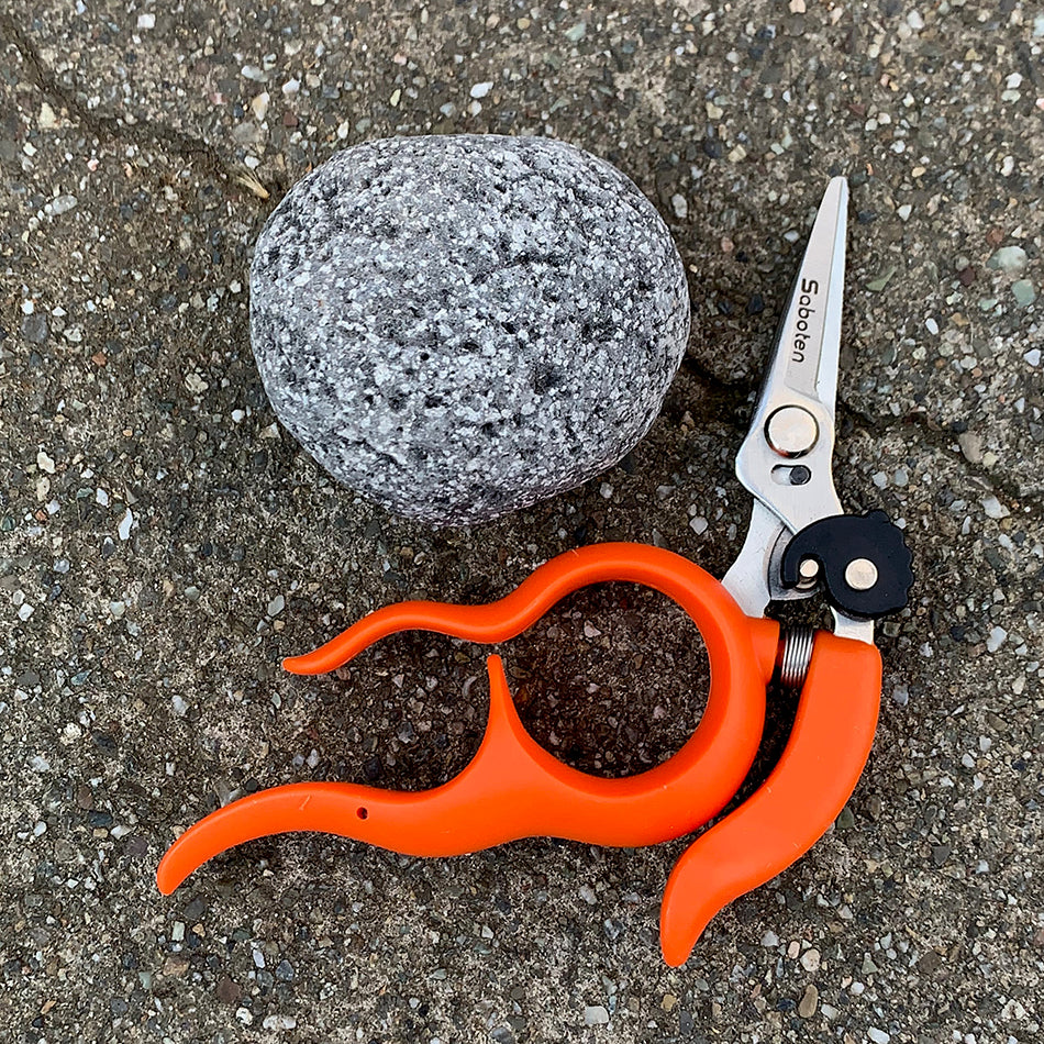 stainless steel garden scissors Garden: Harvest Scissors – The Gardener Store