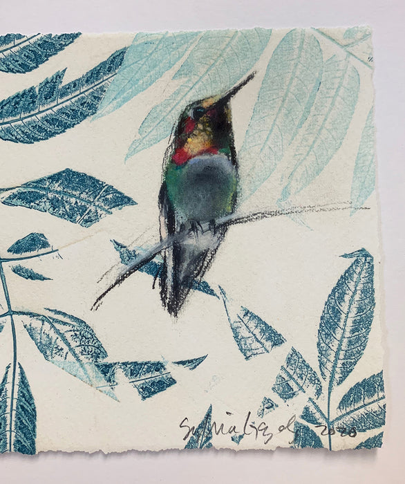 Art: Print Sylvia Gonzalez Hummingbird on Walnut